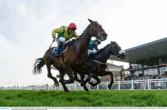 COMPETITION: Win 5 tickets to the Fairyhouse Student Race Day