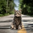 #TRAILERCHEST: The latest trailer for Pet Sematary sets us up for some major scares
