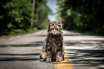 #TRAILERCHEST: The latest trailer for Pet Sematary sets us up for some major scares