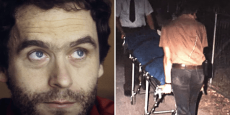 Netflix release list of true crime documentaries that anyone who loved the Ted Bundy documentary should watch