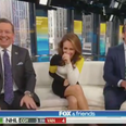 WATCH: Fox News host claims germs don’t exist because he can’t see them