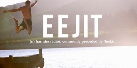 American congressman is determined to make the word “eejit” a commonly accepted phrase in the States