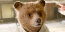 Paddington 3 confirmed to be in the works