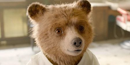 We asked Paddington himself if he thinks Paddington 2 is the greatest film of all time