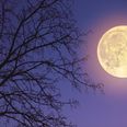 A “super snow moon” – the brightest moon of the year – will be visible in the sky this week