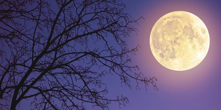 A “super snow moon” – the brightest moon of the year – will be visible in the sky this week