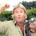 PETA come under criticism for comments they made about Steve Irwin on his birthday