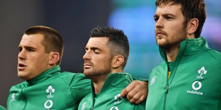CJ Stander and two other class players tipped for Ireland recall