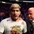 Dillon Danis has finally explained what happened at the UFC 229 post-fight brawl