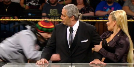 WWE legend Bret Hart attacked by fan during his Hall of Fame speech