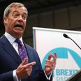 Cash-strapped UKIP begging for extra funds to contest European elections