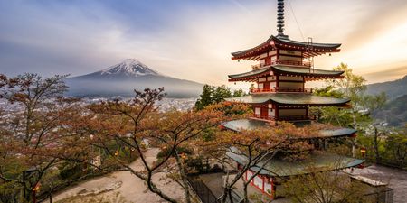 Here’s how to be in with a chance of winning a trip to Japan for two