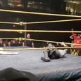 WWE referee breaks his leg during match but still manages to count the pin