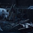 Game of Thrones director explains why Jon Snow didn’t give Ghost a goodbye pet