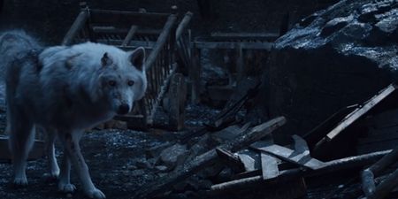 Game of Thrones director explains why Jon Snow didn’t give Ghost a goodbye pet