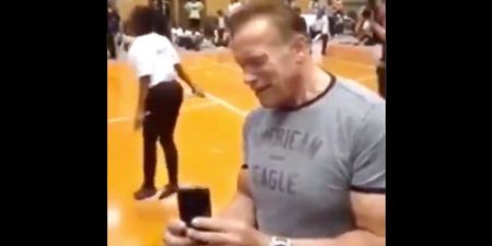 Arnold Schwarzenegger releases statement after getting dropkicked at event