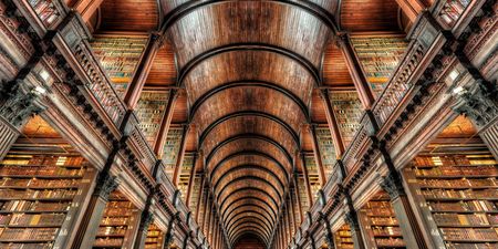 These were the 20 most-borrowed books from Irish libraries last year
