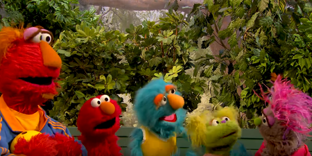 WATCH: Sesame Street introduce their first character in foster care