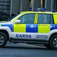 Gardaí issue advisory ahead of large scale protest in Dublin on Wednesday morning