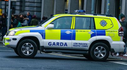 Gardaí issue advisory ahead of large scale protest in Dublin on Wednesday morning