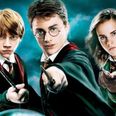 Two Irish cinemas are showing all EIGHT Harry Potter movies this summer
