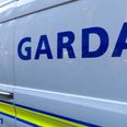 PIC: Driver stopped going over twice the speed limit in Longford