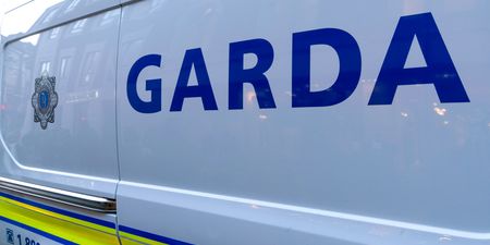 PIC: Driver stopped going over twice the speed limit in Longford