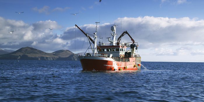 Irish fishing vessels
