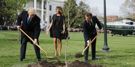 The ‘friendship tree’ planted by Trump and Macron last year has died