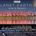 BBC’s stunning Planet Earth II is coming to Ireland live in concert