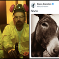 Here’s what those cryptic Breaking Bad tweets actually mean