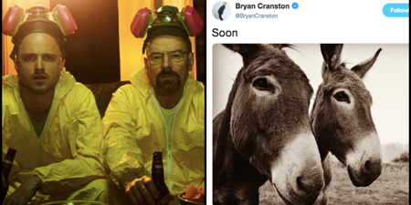 Here’s what those cryptic Breaking Bad tweets actually mean