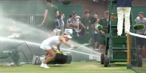 Rogue sprinkler at Wimbledon causes chaos on court