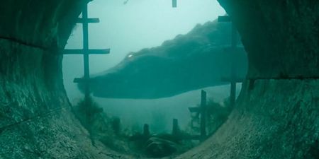 The first reactions are in for Crawl, what looks set to be the sleeper hit of the summer