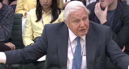 “The problems in the next 20 or 30 years are really major” – David Attenborough calls for urgent climate emergency action