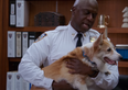 The dog who plays Cheddar on Brooklyn Nine-Nine has passed away