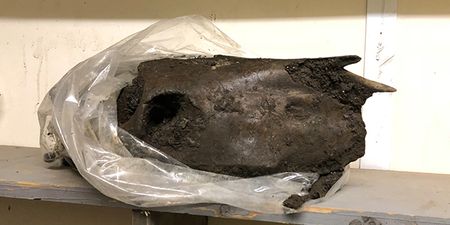 Five awesome artefacts found beneath Dublin’s new hotel