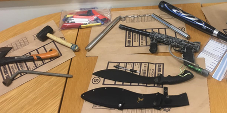 Gardaí seize variety of weapons, attack-dog suit and pitbull in Dublin