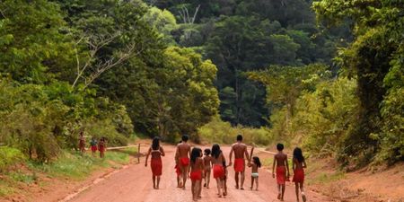 Gold miners invade indigenous village in Brazil following death of leader