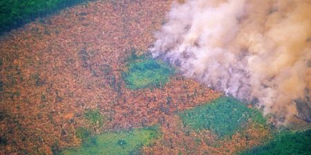Brazil’s Amazon rainforest is burning at a record rate, experts say
