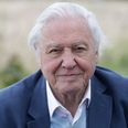David Attenborough says now is our “last chance” to address climate change