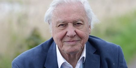 David Attenborough says now is our “last chance” to address climate change