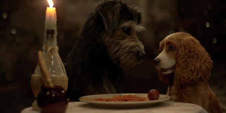 Disney have shared the first trailer for the live action Lady and the Tramp reboot