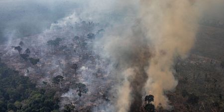 Brazil has rejected the $20 million aid offered by G7 leaders to fight Amazon fires