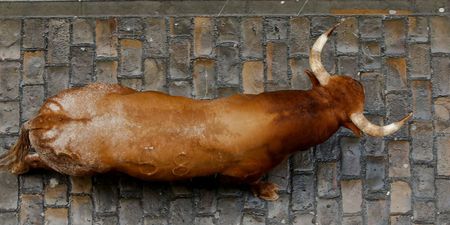 Man gored to death by bull at Spanish bull run