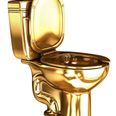 Solid gold toilet worth over €1 million stolen from Winston Churchill’s birthplace