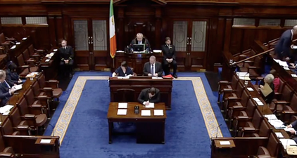 Ceann Comhairle recommends changes to Dáil voting system in the wake of “votegate”