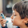 Some asthma inhalers as bad for environment as eating meat, says study