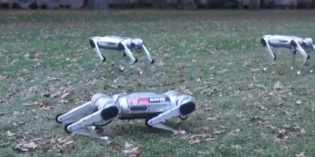 WATCH: Footage of MIT’s robotic ‘Mini Cheetahs’ proves that the end is nigh