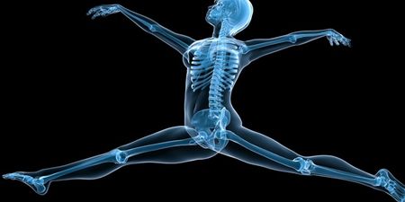 QUIZ: Where in the body are these bones located?